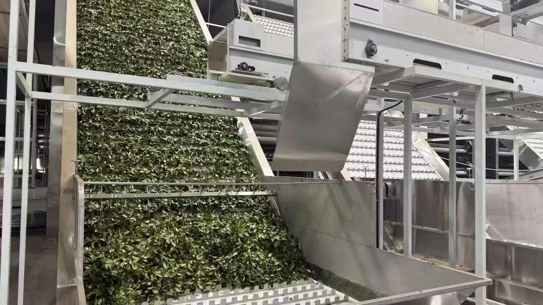 Close-up of tea processing drum equipment used as process-environment visual context